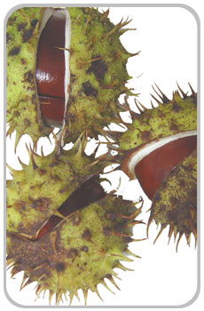 Click for testimonials